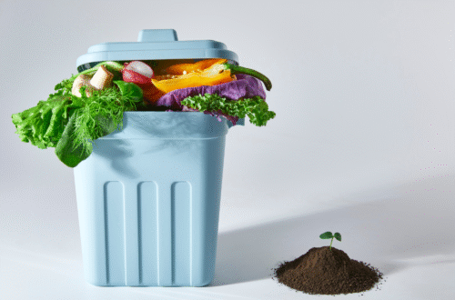 dual compartment trash can